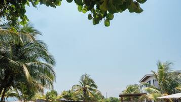 A wooden deck with lounge chairs and a wooden fence, surrounded by palm trees and a clear sky.