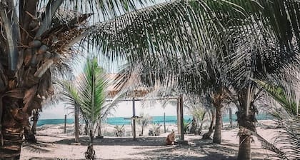 Casa Playas - Oceanfront!