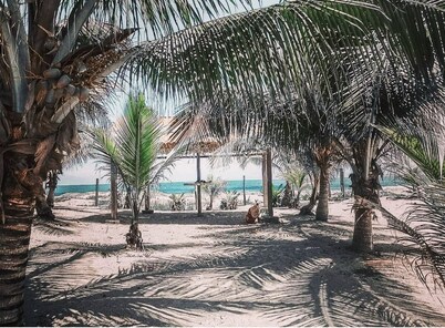 Casa Playas - Oceanfront!
