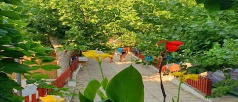 Enceinte de l’hébergement