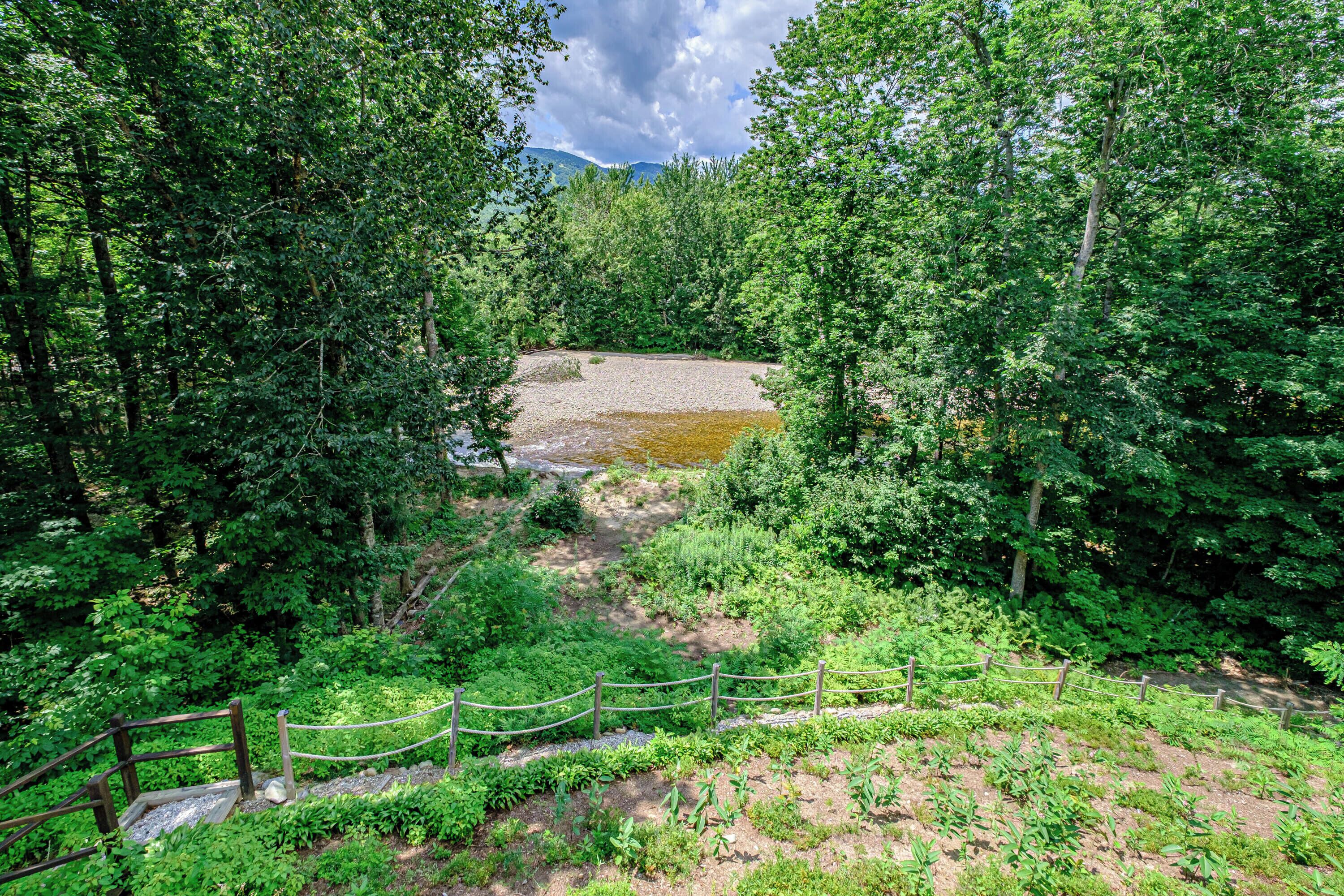 Paesaggio naturale con un sentiero sterrato che conduce a un piccolo stagno circondato da fitta vegetazione e alberi.