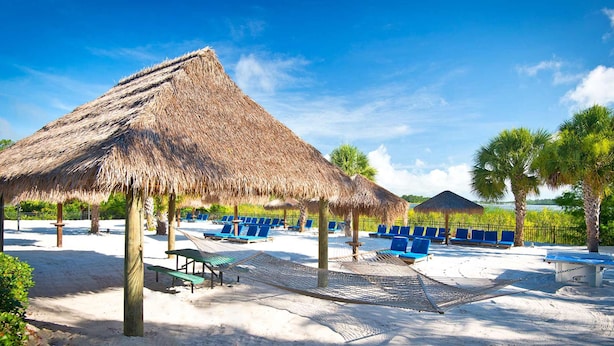 A beach with thatched umbrellas, blue lounge chairs, and a hammock. - Cheerful Condo - minutes away from Disney/ with Pools, Resturant & Spa (Davenport)