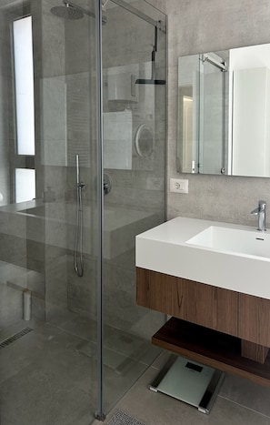 Shower, hair dryer, bidet, towels