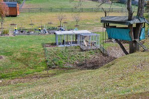 Terrain de l’hébergement 