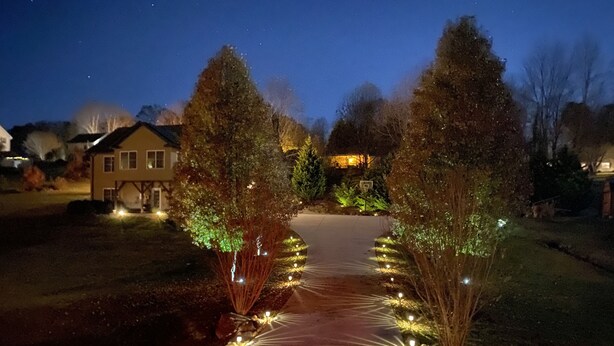 A pathway lined with trees and illuminated lights leading to a house.