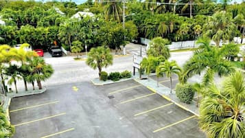 Un parking avec des places délimitées et des palmiers.