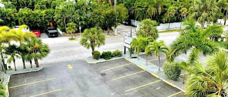 A parking lot with marked spaces and palm trees.