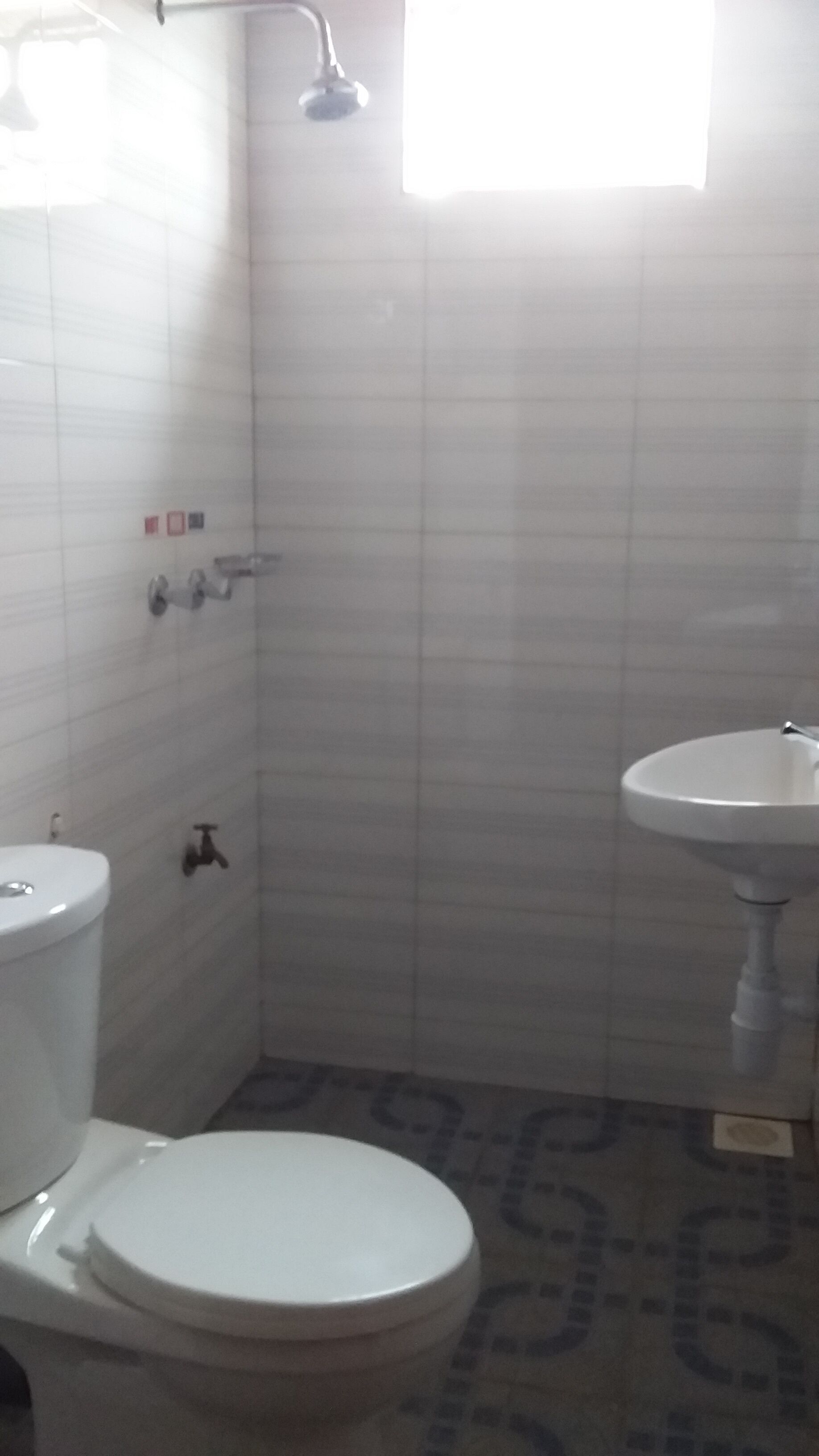 A bathroom with a toilet, a sink, and a shower.