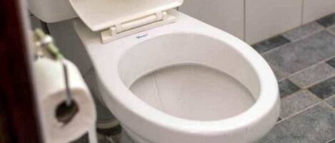 Des toilettes avec un abattant et un couvercle blancs, un rouleau de papier toilette et un sol carrelé.