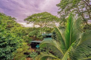 Property grounds - Casa Corriente Jungle & Ocean View in Pelada Beach (Nosara)