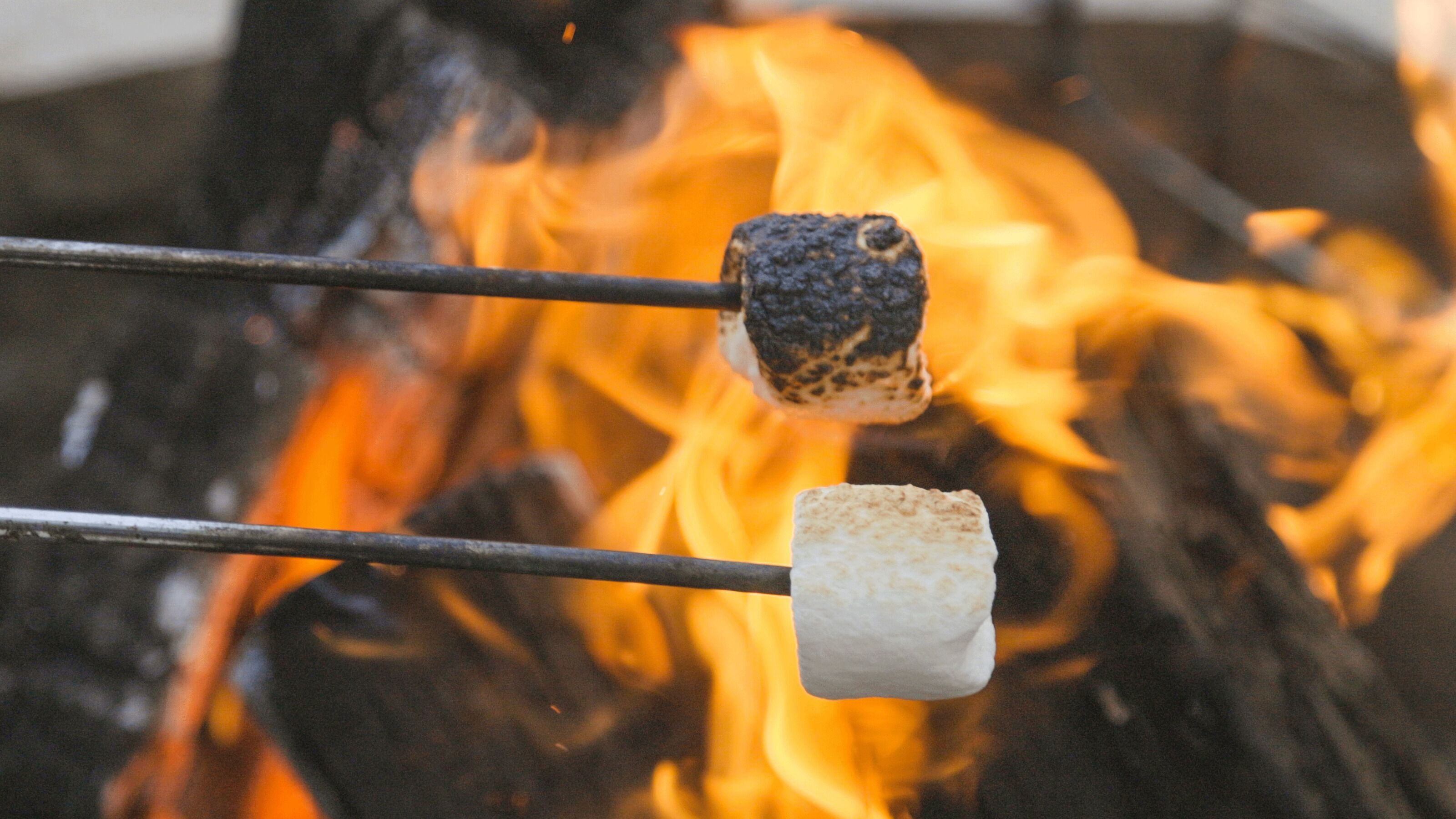 Zwei Marshmallows werden über offenen Flammen geröstet.