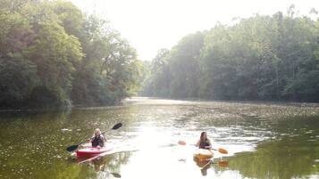 Two kayaks on a calm river surrounded by dense trees.