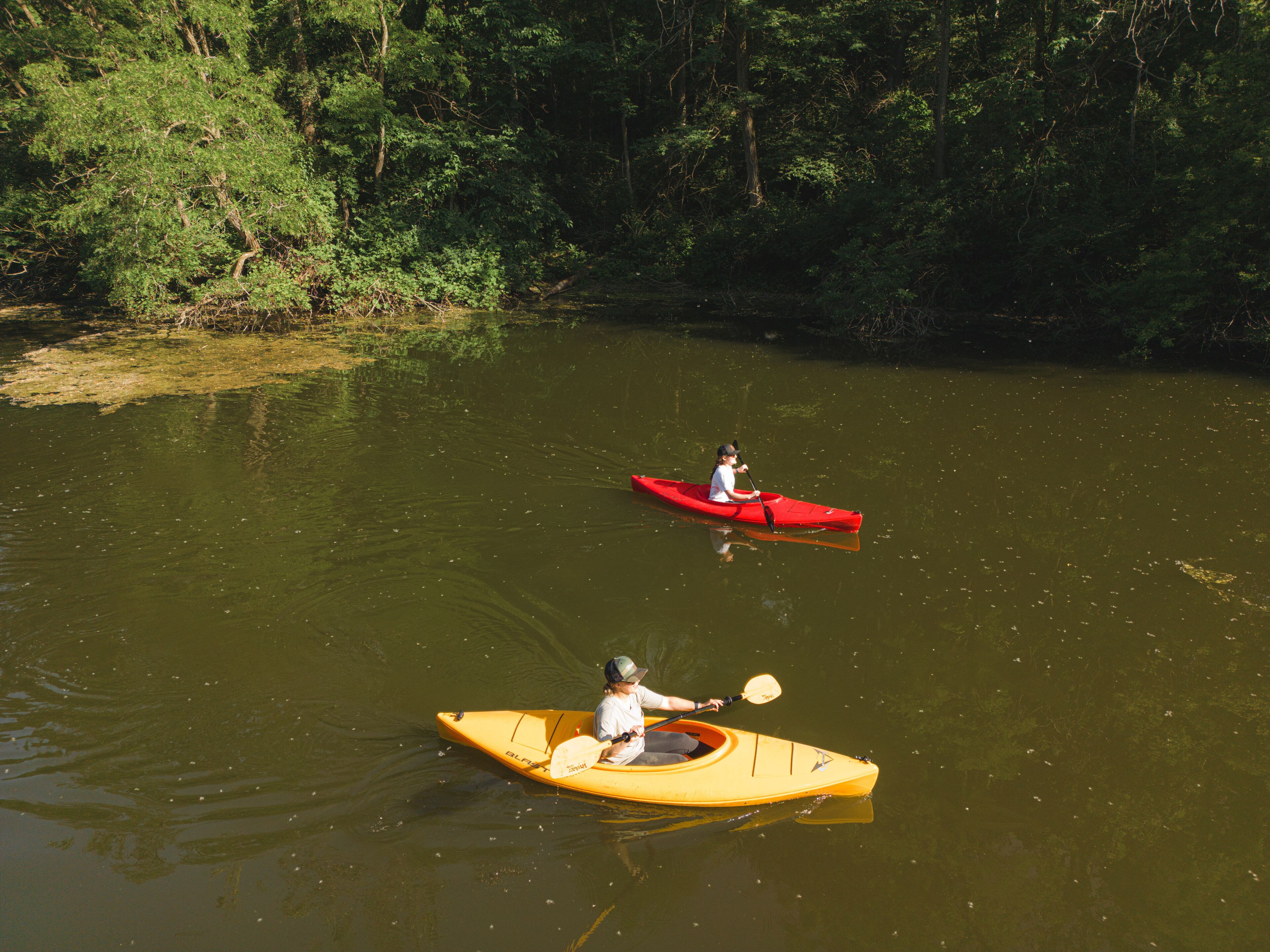 Two kayaks on a calm river surrounded by dense greenery.