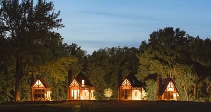 #14 Lightning Bug Landing