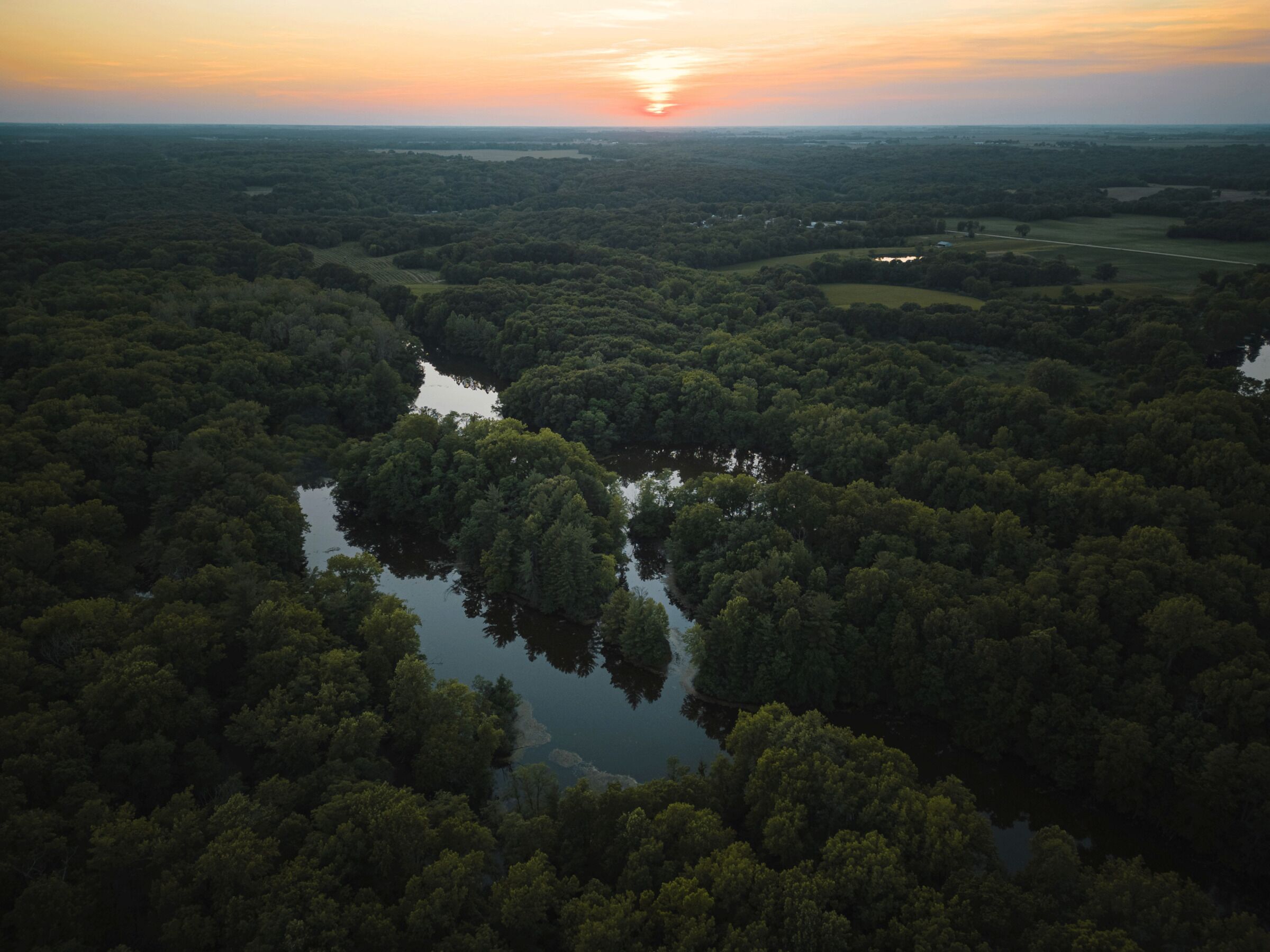 Luchtbeeld van een dicht bos met een rivier erdoorheen.