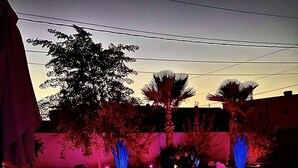 Una piscina con dos objetos cilíndricos, rodeada de palmeras y plantas, con un edificio al fondo.