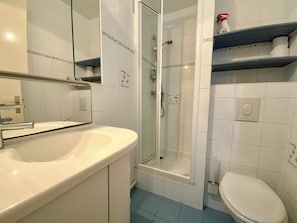 A bathroom with a sink, toilet, shower, and a mirror.