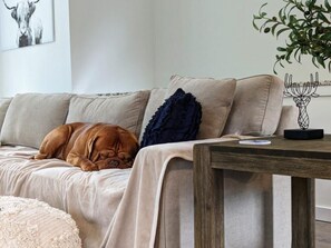 Un salon chaleureux avec un canapé, un chien qui se repose dessus et une table basse en bois.