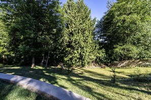 A grassy area with trees and a concrete path.