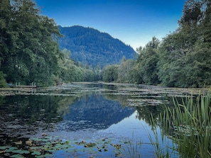 Un lac paisible aux eaux miroitantes, entouré d’une forêt dense et dominé par une montagne en arrière-plan.