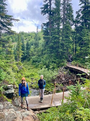 Un pont en bois situé dans une zone boisée, caractérisée par une végétation luxuriante et un terrain rocheux.