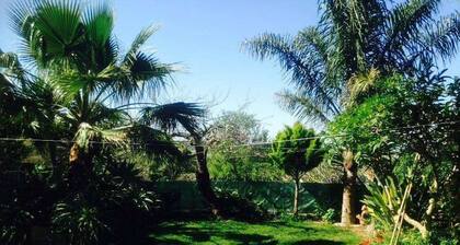 Quietness in Algarve