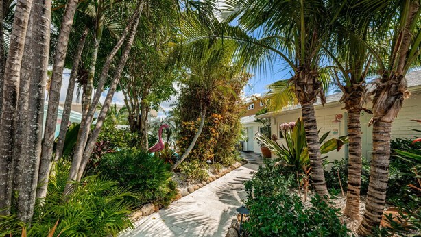 A tropical garden pathway with palm trees and various plants.
