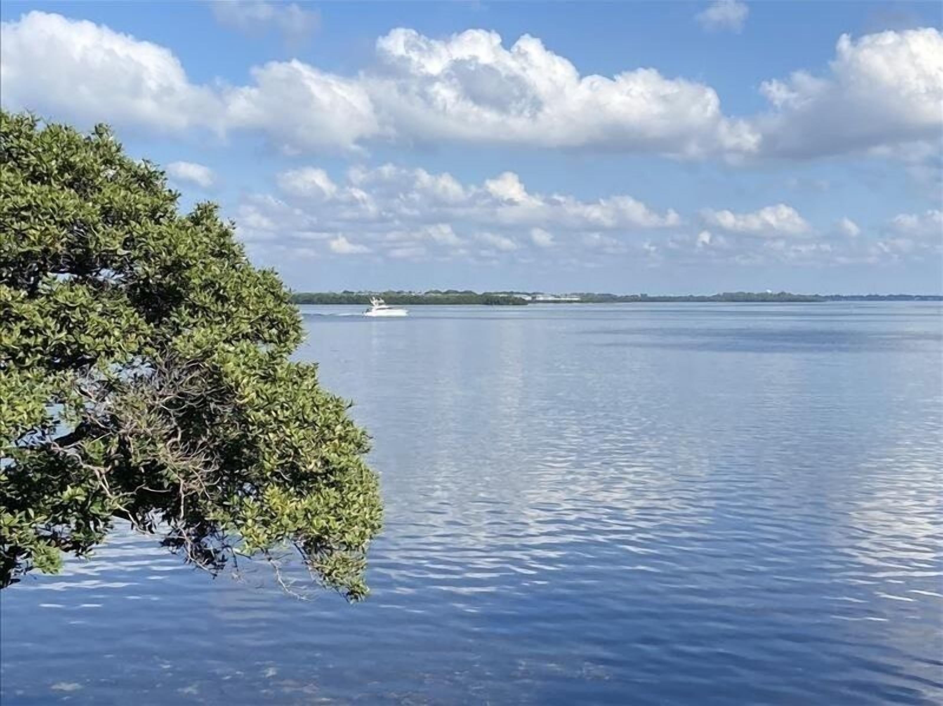 Un cuerpo de agua tranquilo con un barco a lo lejos y un árbol a la izquierda.