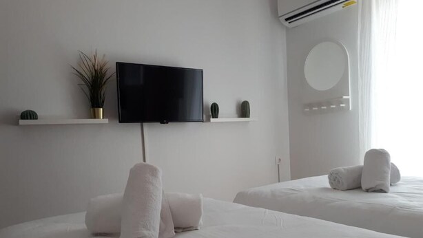 Een hotelkamer met twee bedden, een flatscreen-tv, een kleine plant en een spiegel aan de muur.