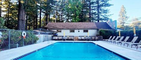 Sesongbasert utendørsbasseng, bassengparasoller og solsenger