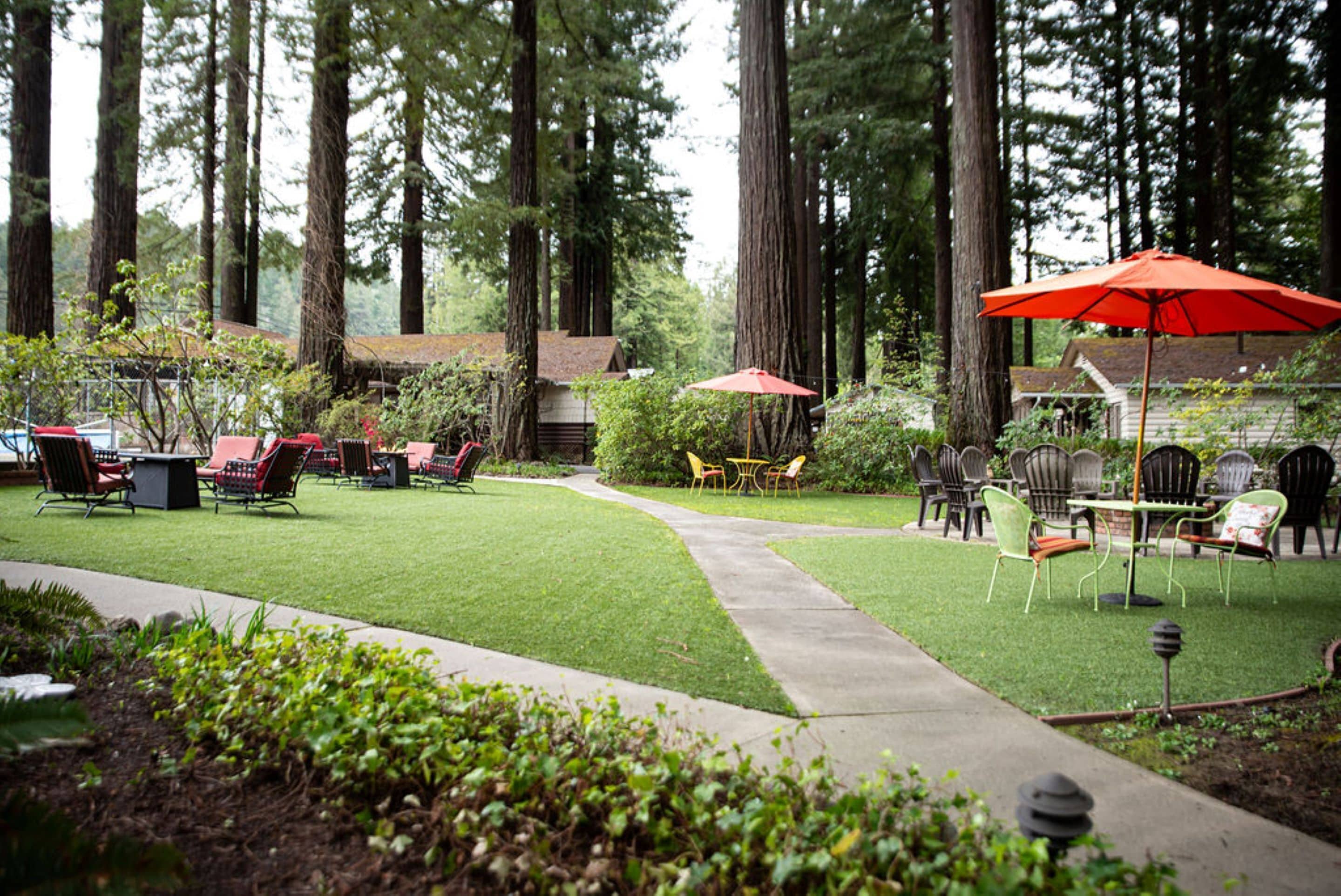 A well-maintained outdoor patio with seating arrangements and a pathway.