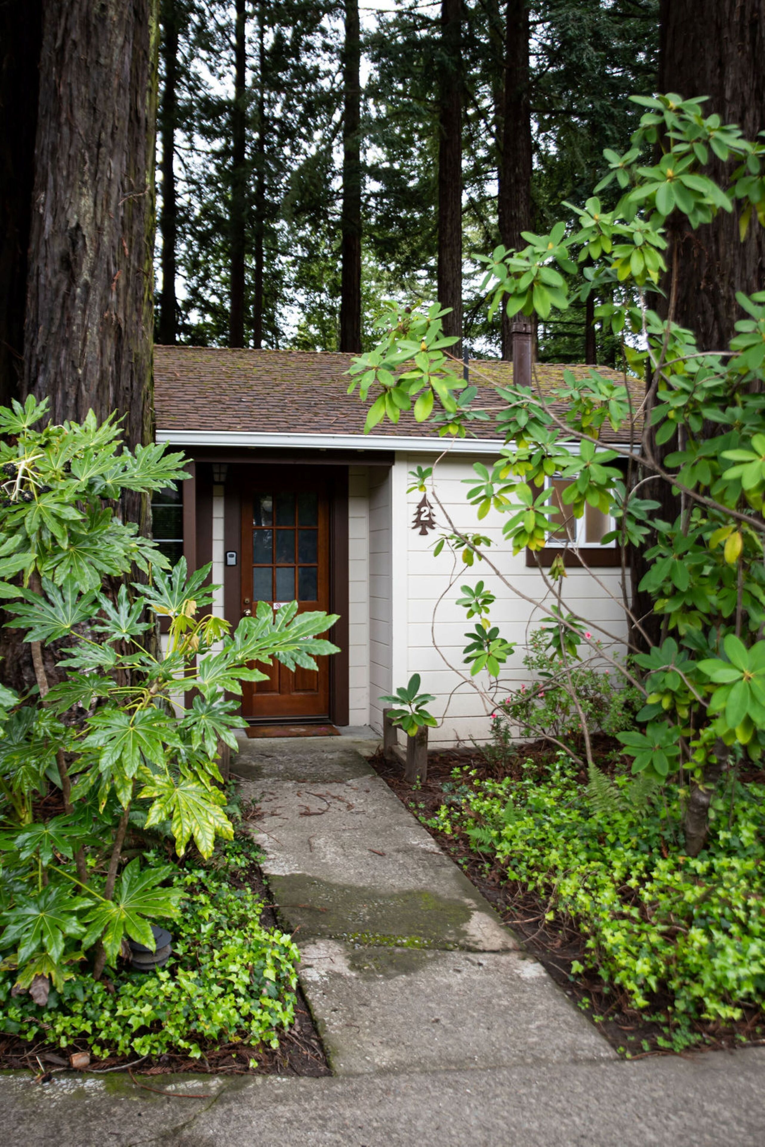 A small house with a brown door, surrounded by trees and greenery.