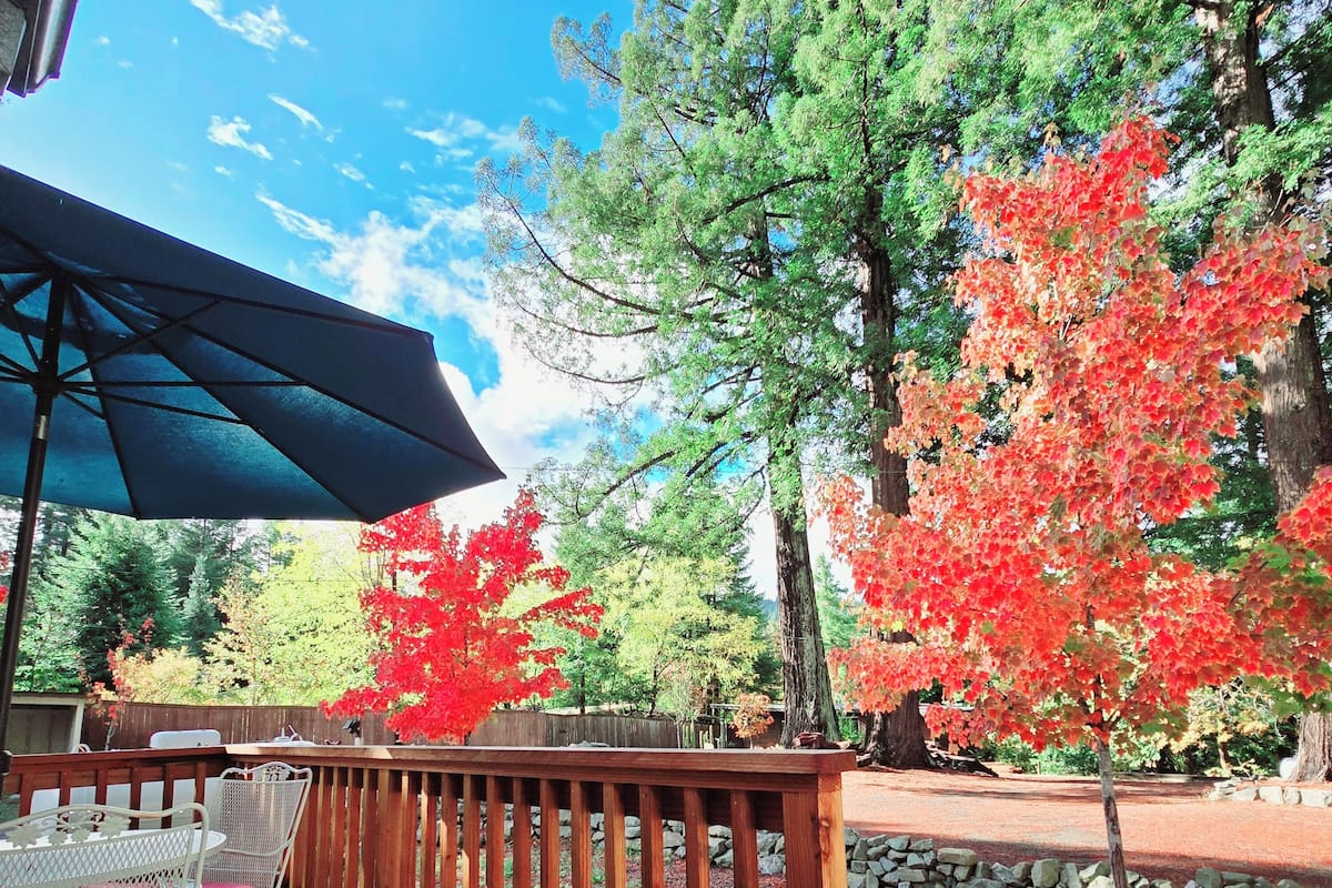 A wooden deck with a metal table and chairs, surrounded by trees with red foliage.