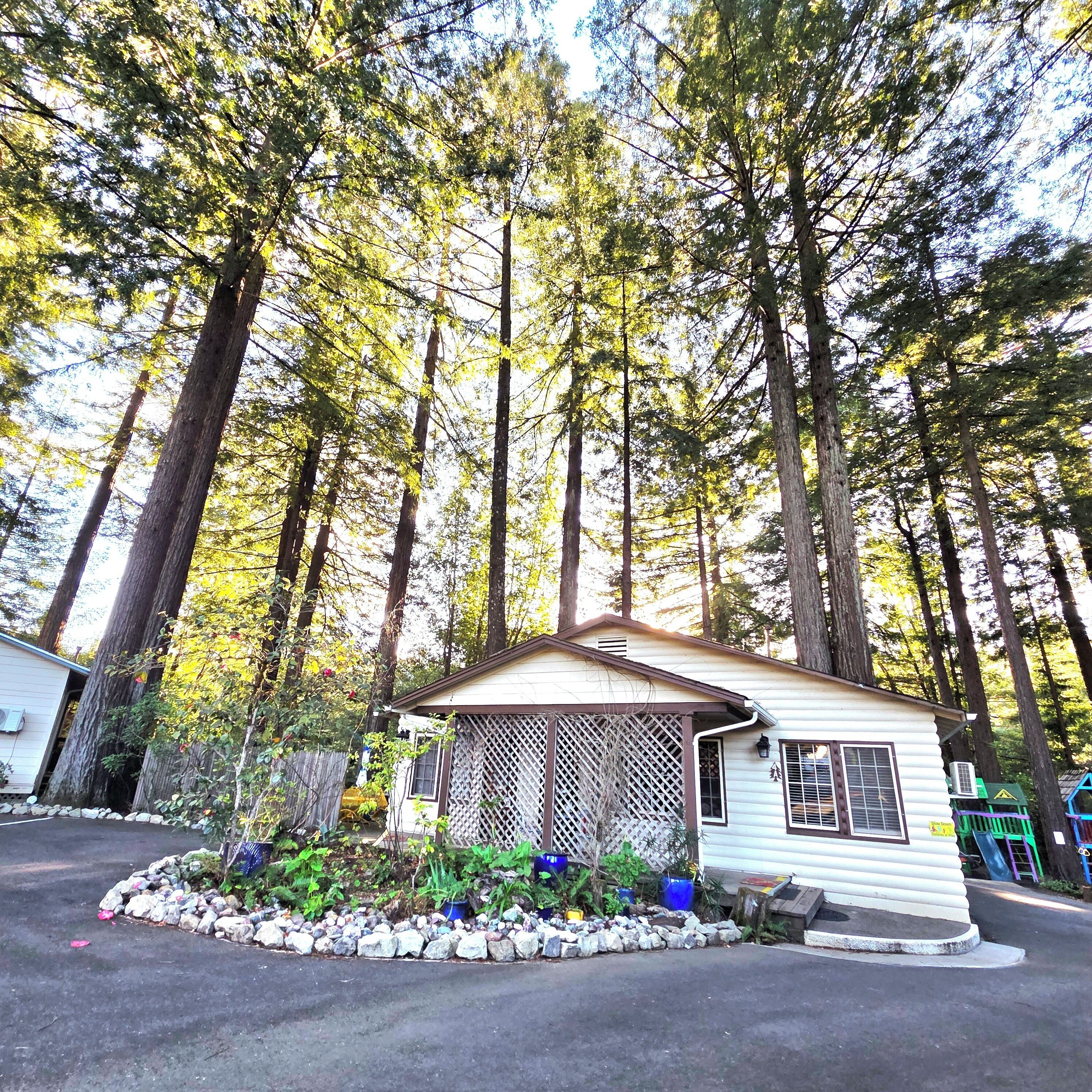 A small cabin with a porch, surrounded by a stone border and potted plants, set in a forested area.