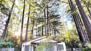 Sábanas de algodón egipcio y ropa de cama de alta calidad