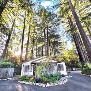 Cabin 4A | エジプト綿のシーツ、高級寝具、客室ごとに異なる装飾、客室ごとに異なるインテリア