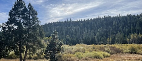 Standard Room, 1 Queen Bed | Down comforters, blackout drapes, bed sheets