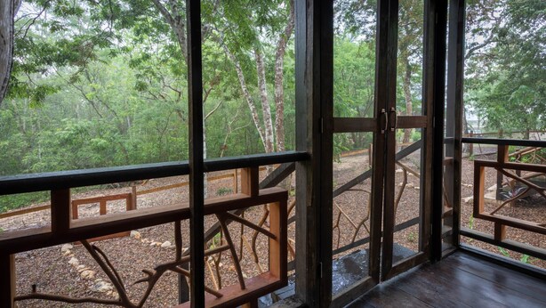 Une terrasse en bois offrant une vue sur une zone boisée.