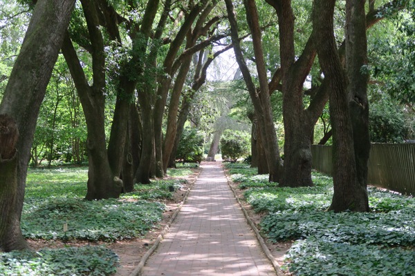 Terrein van de accommodatie