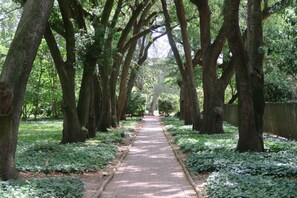 Un sendero pavimentado bordeado por árboles en un parque.