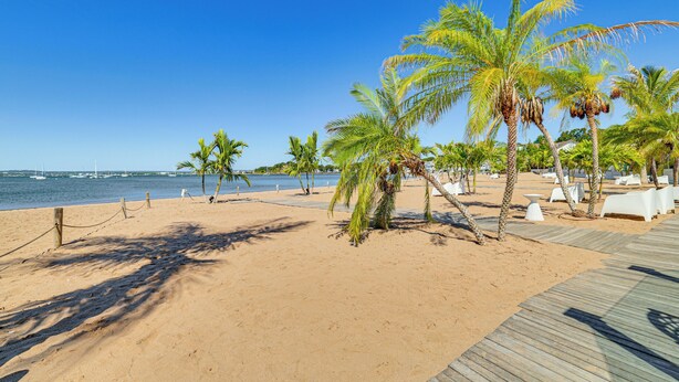 A beach with palm trees, a wooden boardwalk, and a clear blue sky. - Near Yale & Lighthouse Point Beach: Home w/ Pool! (New Haven)