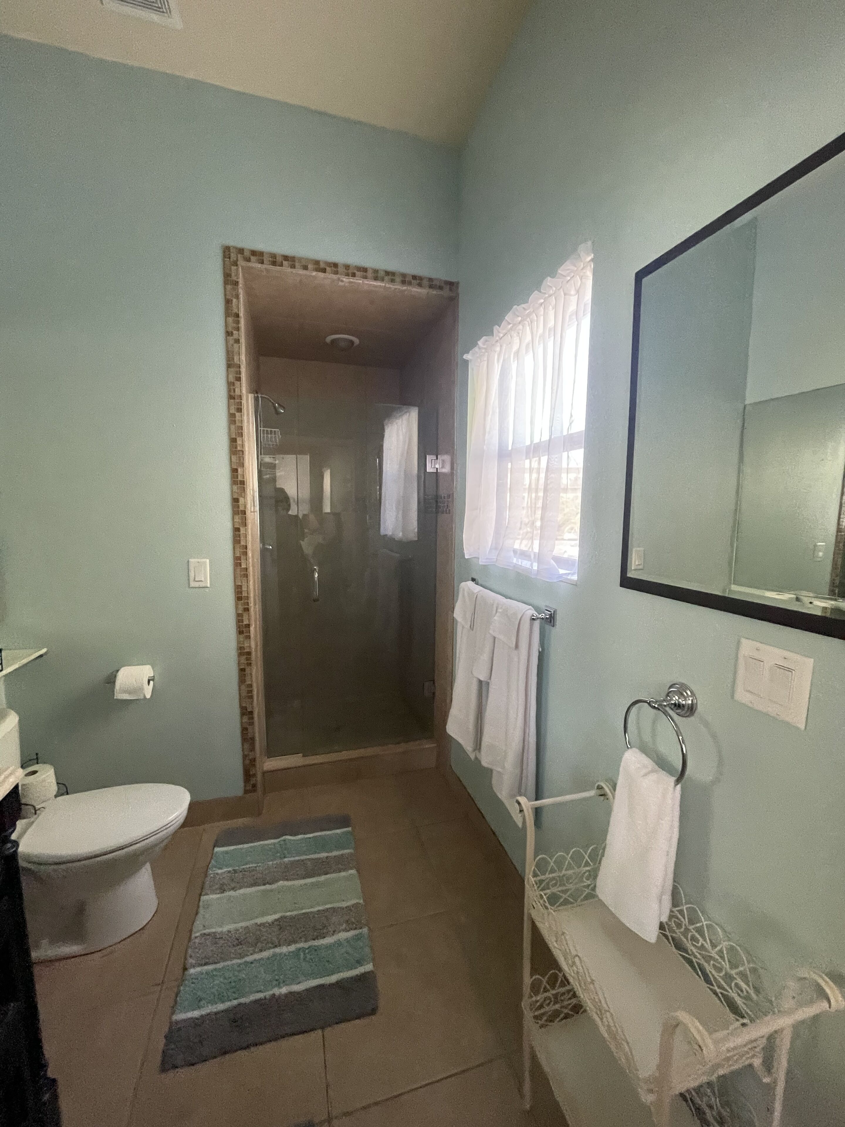 Ein Badezimmer mit Toilette, Dusche und Waschbecken.