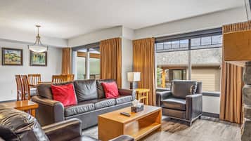 TV connectée, cheminée, lecteur de DVD