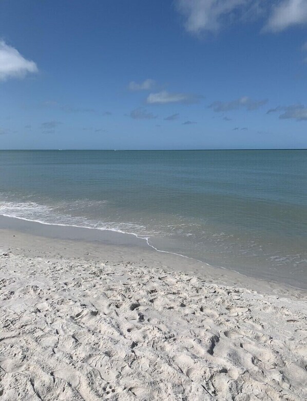 Playa en los alrededores y camastros 