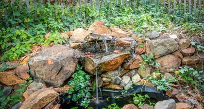 Adorable Miner's Cabin on 8 acre Pear Orchard