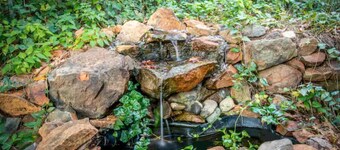 Adorable Miner's Cabin on 8 acre Pear Orchard