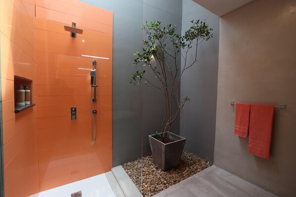 Een moderne badkamer met een douche, een potplant en een handdoekhouder.