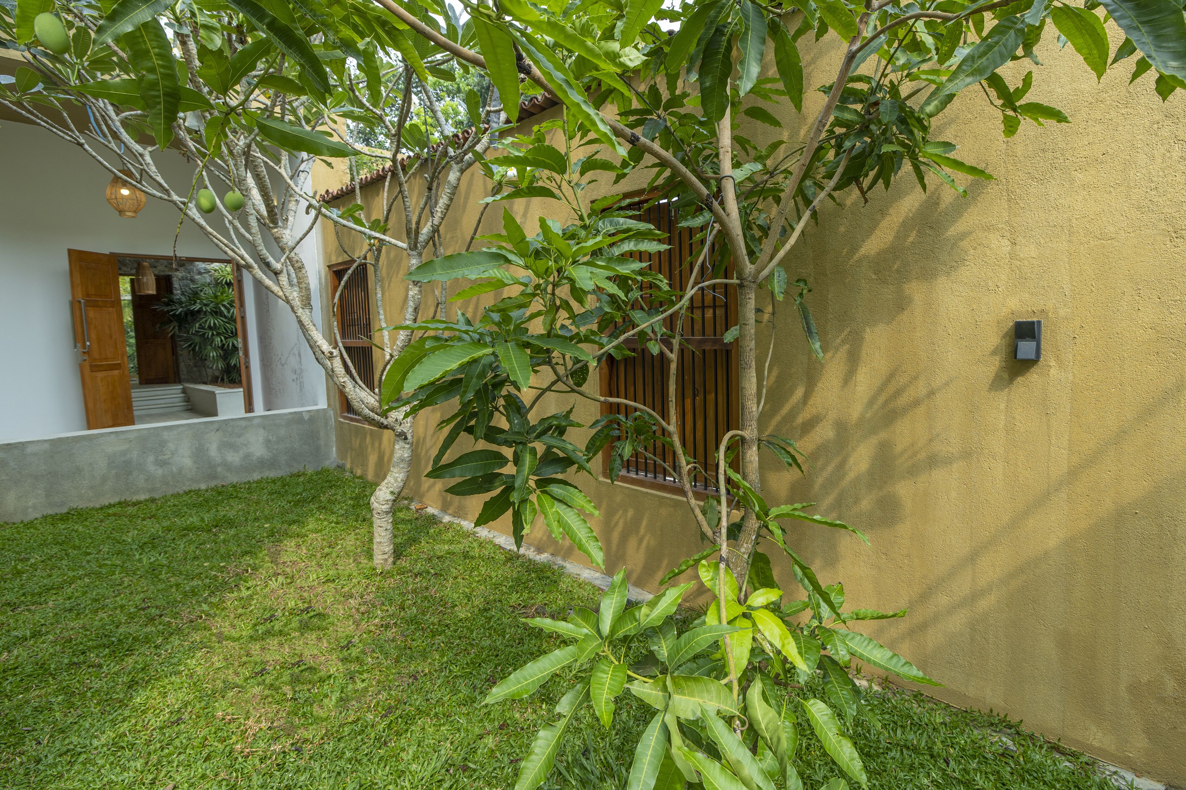 A courtyard with a tree, a small garden, and a building with a yellow wall and a window with a wooden shutter.