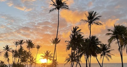 Sounds of the waves Luxury Villa 31 yards from Beach remodeled w 24 hr security