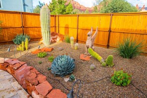 A garden with various cacti and succulents, a wooden fence, and a brick border.